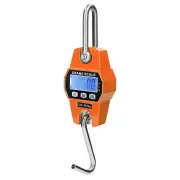300kg Portable Handheld Scale Crane Scale Electronic Crane Scale LCD Digital Weighing Tool Industrial Heavy Duty Weight
