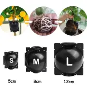 20PK Plant Rooting High Pressure Propagation Ball Grafting Box Large Size (12cm)