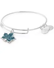 $38 Alex and Ani BeLeaf in Yourself Shiny Silver Charm Bangle Bracelet Z29