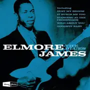 One And Only Elmore James