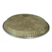 Conga, Symmetry, 11.06, Low Collar, D3, Fiberskyn Drum Head