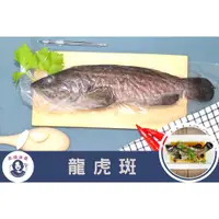 在飛比找蝦皮購物優惠-【長順漁產】台灣養殖石斑魚|龍虎斑|500g±10% $29