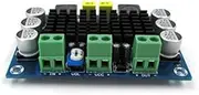 IsMwav XH-M542 DC 12-26V 100W TPA3116DA Mono Channel Digital Power Audio Amplifier TPA3116D2 Board