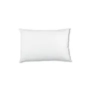 Luxor Twin Pack 35x60cm Aus Made Hotel Cushion Inserts Premium Memory Resistant Filling
