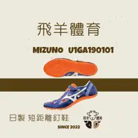 在飛比找蝦皮購物優惠-飛羊體育🐑MIZUNO 美津濃 日本製  CHRONO IN