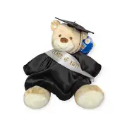 Build A Bear Teddy Bear Graduation Gown and Hat Stuffed Animal 16"