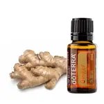 多特瑞 生薑GINGER 15ML 2027/1