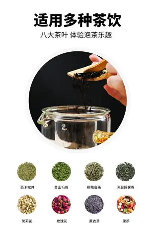 唐豐藏金側把泡茶壺玻璃帶蓋過濾沖茶器家用日式透明單壺190259