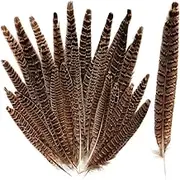 30PCS Natural Female Pheasant Feathers, 3 Sizes of Pheasant Tail Feathers Suitable for DIY Craft Home Party Wedding Performance Decoration