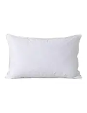 [Dreamaker] Goose Feather and Down Standard Pillow in White