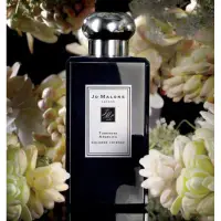 在飛比找蝦皮購物優惠-香水分裝 試香 Jo Malone 晚香玉與白芷 夜來香與當