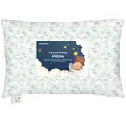 KeaBabies Toddler Pillow with Pillowcase in Dinobloom at Nordstrom, Size Standard
