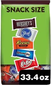 Hershey Assorted Milk and Dark Chocolate Flavored Snack Size Candy - 33.43 oz