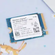 WD SN530 1TB Hynix BC711 512G M.2 2230 SSD NVMe for Microsoft Surface Steam Deck