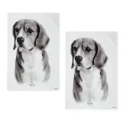 Set of 2 Delightful Dogs Cotton Kitchen Tea Towels 50 x 70 cm Beagle