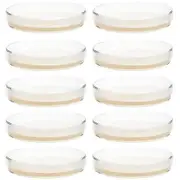 10pcs Prepoured Agar Plates Petri Dishes With Agar Science Experiment Supplies