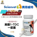 SCIENVET 賽恩威特 1-TDC 一錠護 30顆 口炎 牙齦炎專用 口腔保健 心臟 皮膚