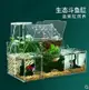 特價✅生態鬥魚缸孔雀魚繁殖孵化專用隔離盒循環水過濾創意桌面鬥魚排缸