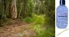 AUSTRALIAN BUSH - Reed Diffuser Refill