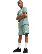 [PUMA] Ess 2 Colour No. 1 Logo Tee in Green Moon
