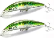Fishing Lure Bait 2 Pcs 30g 95mm Minnow Sinking Fishing Bait Hard Plastic Trout Bait Artificial Bait Fishing for Pike Bass Crankbait Fishing Tackle