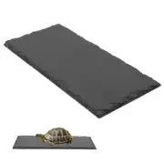 Tortoise Feeding Dish Turtle Basking Platform Mat Fodder Basin Reptile