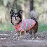 Huskimo Dog Jumper Soho Knit Sherbert 40cm – Soft Dog Sweater, Stretch Fit, Machine Washable, Winter Dog Clothing, 6 Sizes