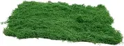 Homoyoyo Simulated Moss Turf Realistic Artificial Moss Mat for Micro Landscape Decoration for Decor and Background Wall Layouts