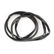Blanco Oven/Stove Oven Door Gasket Seal 090118009920R