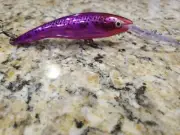Rapala Deep Tail Dancer TDD-11 Custom Painted Crankbait New