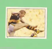 1983 SCANLENS VFL STICKER - #135 BRIAN WOOD, RICHMOND TIGERS