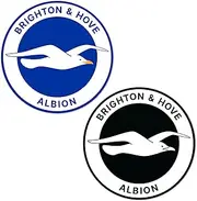 Desert Cactus Brighton & Hove Albion Sticker C Seagulls Football Club Decal Vinyl Laptop Water Bottle Car Scrapbook Official Fan Gear (4 inch A)