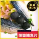 【好嬸水產】挪威進口A等薄鹽鯖魚片｜鮮魚｜140克｜1498免運｜鯖魚片｜烤肉食材｜薄鹽鯖魚｜鯖魚｜鹽漬鯖魚