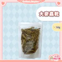 在飛比找蝦皮購物優惠-花花萌寵王國🎀 大麥蟲乾 麥皮蟲乾 超級麵包蟲 刺蝟/倉鼠/