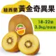 【水果狼FRUITMAN】紐西蘭Zespri 黃金奇異果 18-22顆 / 原裝箱