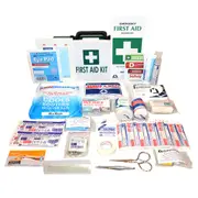 Livingstone Small Work Vehicle First Aid Kit Complete Set In Recyclable Plastic Case