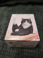 CAT NEKO Tenori Friends 9 Figure Animal Sofubi Collection Bandai House Cat Black