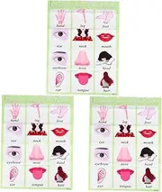 COHEALI 3pcs Infant Toys Preschool Teaching Tool Wall Chart Educational 150 English Words