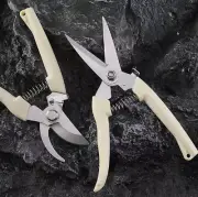 Steel Handle Fruit Tree Scissors Horticultural Fruit Pruning Scissors Picking