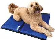 CoolerDog Dog Cooling Pad Dog Cooling Products Hydro Cooling Mat 2 Pack for Large Dogs