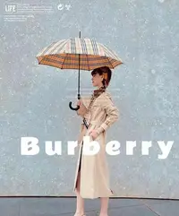 在飛比找Yahoo!奇摩拍賣優惠-BURBERRY（巴寶莉） 直杆長傘 年度巅峰之作 經典 高