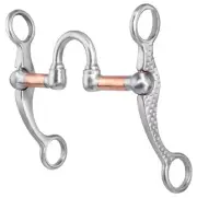 Professional’s Choice Correction Rasp Shank Bit NEW