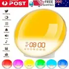 LED Wake up Light Sunrise Alarm Clock FM Radio Sleep Aid Sounds RGB Night Lamp