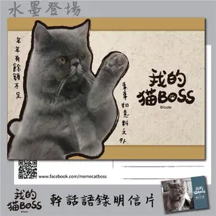 itaste小品味壁貼-我的貓BOSS系列明信片組