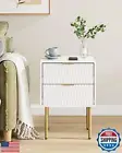 Aienvey Night Stand, Modern Bedside Table with 2 Storage Drawer, Small Side T