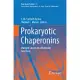 Prokaryotic Chaperonins: Multiple Copies and Multitude Functions