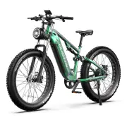 [EU DIRECT] DUOTTS E26 Electric Bike 48V 20Ah SamsungBattery 750W Motor 26inches Tires 100-120KM Max Mileage 150KG Max L