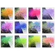 Fine Resin Glitter Powder Craft Glitter for Slimes Jewelry Art Craft Making