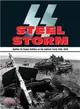 Steel Storm ─ Waffen-SS Panzer Battles on the Eastern Front 1943-1945
