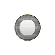 PolarPro LiteChaser GoldMorphic Filter